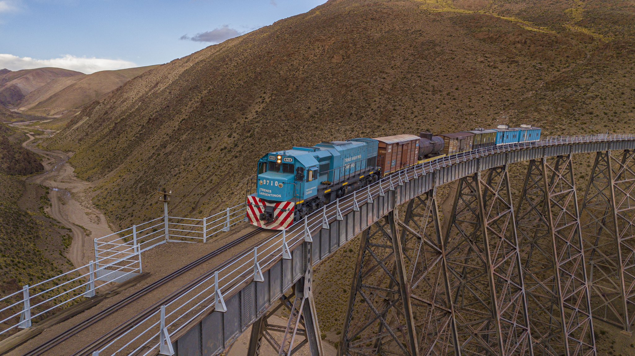 Trenes Argentino Cargas