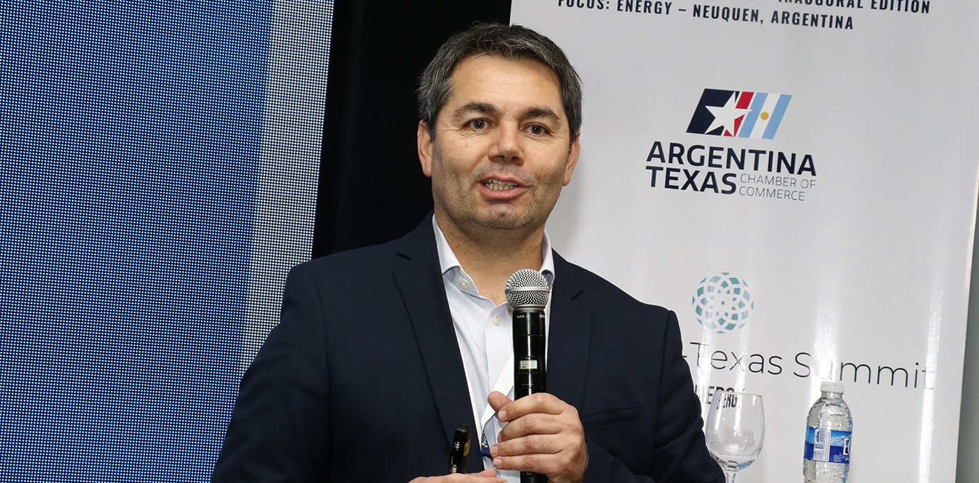 El ministro de Energía y Recursos Naturales, Alejandro Monteiro, durante su exposición.