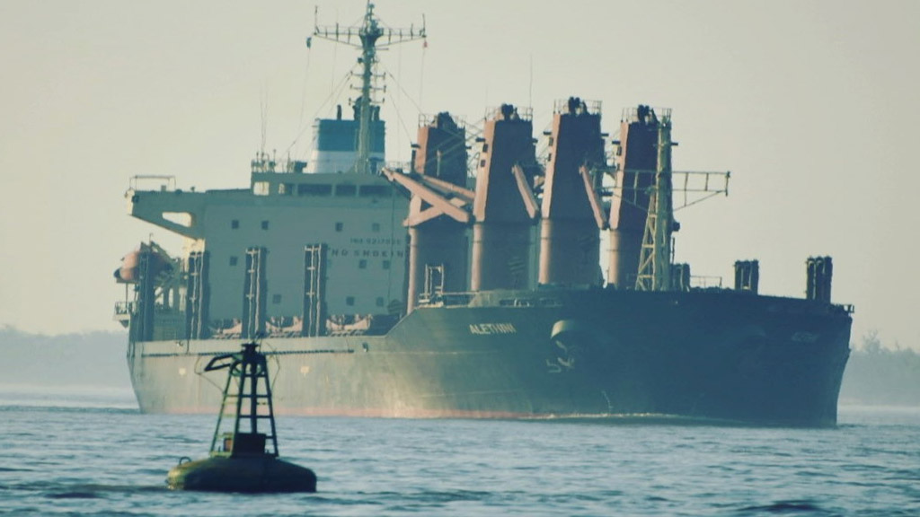 Duro impacto en el comercio agroindustrial argentino de la suba en los fletes marítimos
