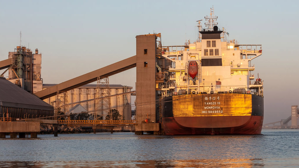 Récord de embarques de granos, con creciente importancia de Bahía Blanca  y Quequén