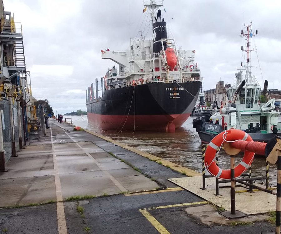 El puerto de La Plata dio otro paso hacia la normalización