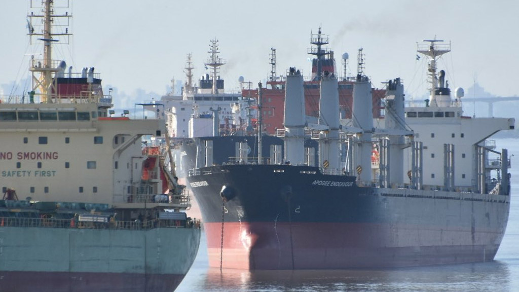 Capitanes reclaman buques de bandera nacional para transportar las cargas