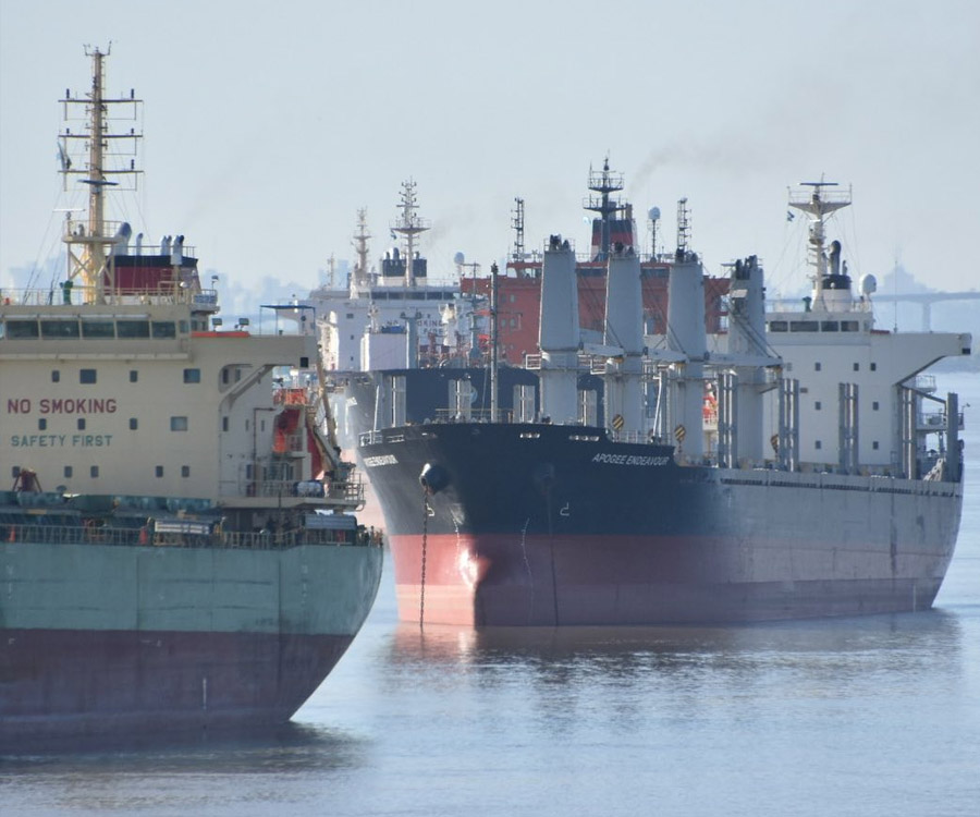 Capitanes reclaman buques de bandera nacional para transportar las cargas