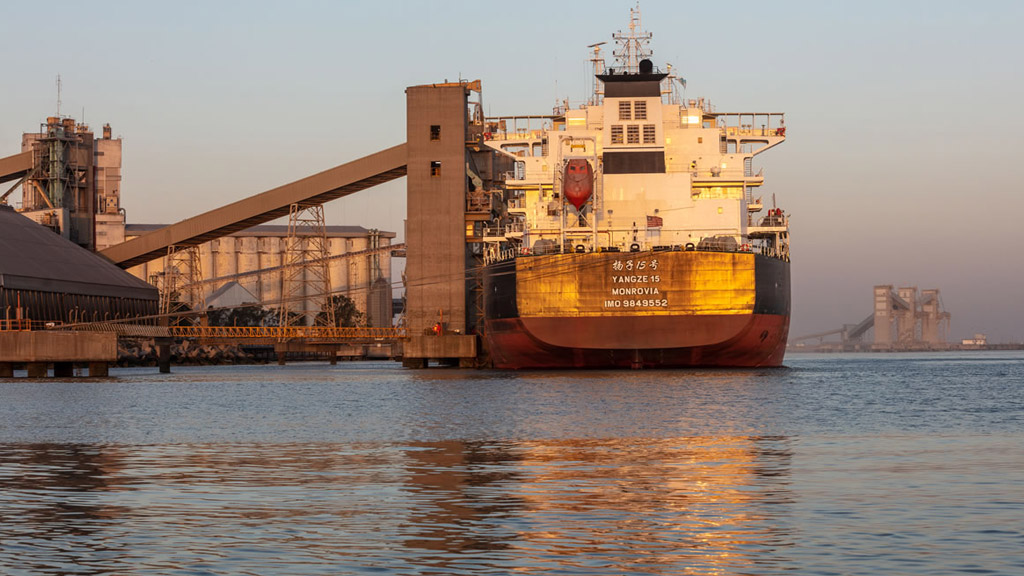 La exportación de cereales creció casi un 40 por ciento en el puerto de Bahía Blanca