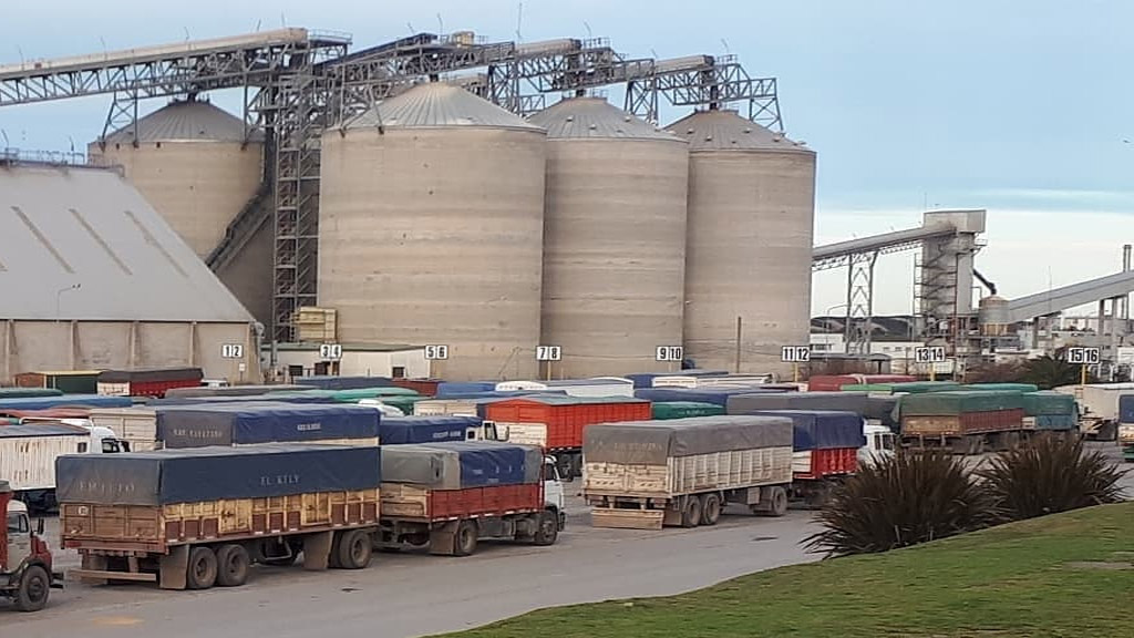 Los puertos de Quequén, Rosario y Bahía Blanca encabezan la demanda de girasol