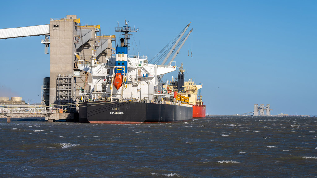 Crecieron un 70% las exportaciones de trigo por el puerto de Bahía Blanca