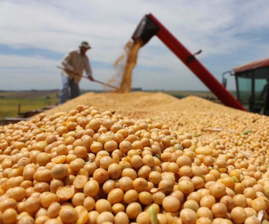 La soja marcó el rumbo de las exportaciones durante el año pasado