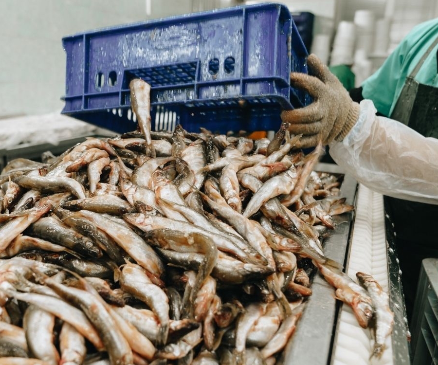 Quequén: levantan la quiebra de una pesquera y crearán 40 puestos de trabajo