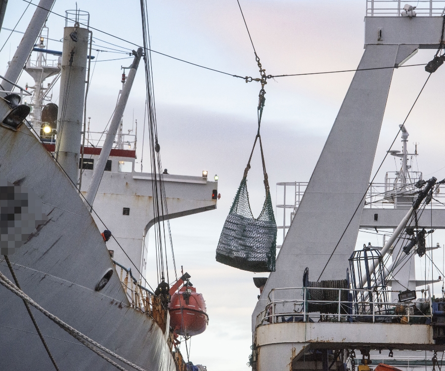 Denuncian trasbordos de buques pesqueros a barcos frigoríficos en altamar