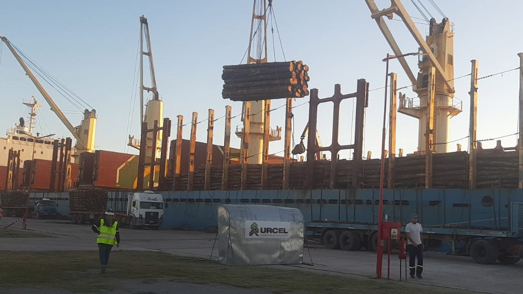 Nueva exportación de troncos de pino desde puertos entrerrianos