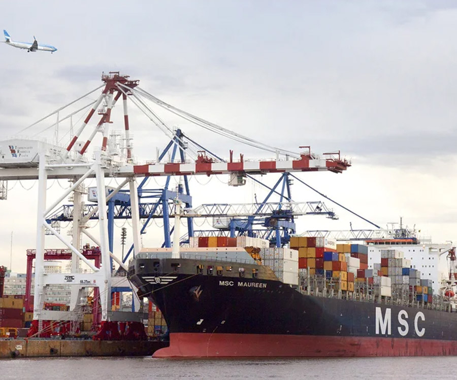El paro afecta al puerto de Buenos Aires, pero no al complejo agroexportador