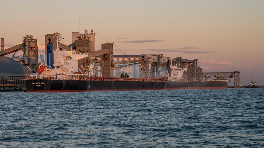 Descargaron 327.855 toneladas de granos en el puerto de Bahía Blanca
