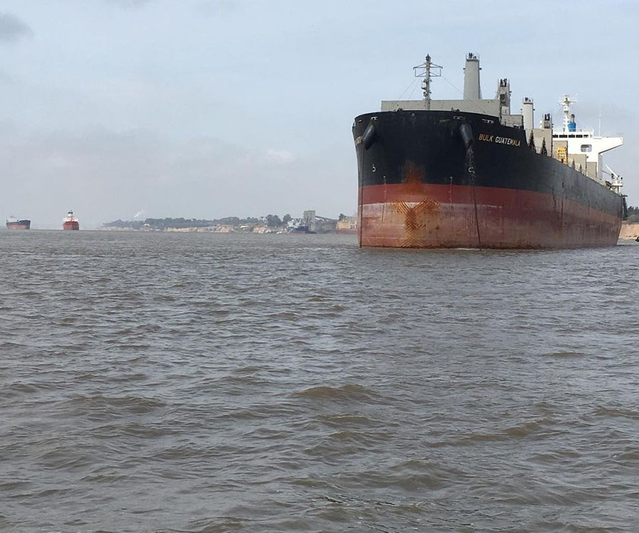 Por el paro de transportistas, no ingresaron a los puertos 350 mil toneladas de granos