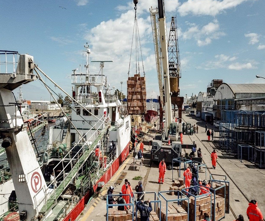 Optimismo en Bahía Blanca por la recuperación de la actividad pesquera en sus muelles