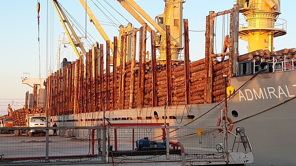 Nueva carga de rollizos de pino para exportación en el puerto de Ibicuy