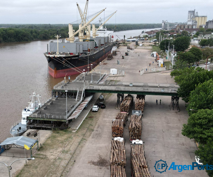 Interés chino por exportar madera desde el puerto de Concepción del Uruguay