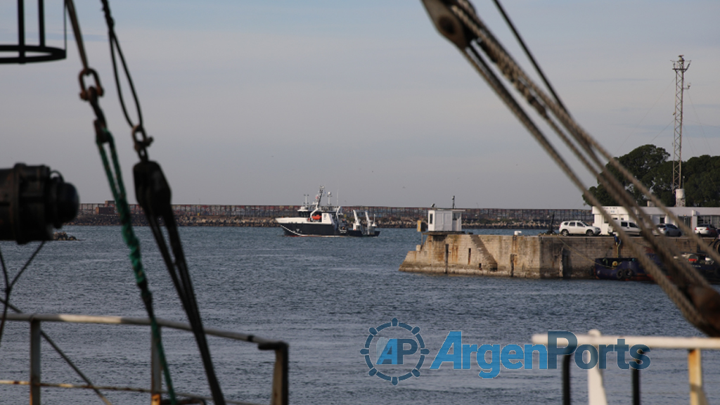 El buque Mar Argentino realiza la campaña de evaluación del stock sureño de caballa