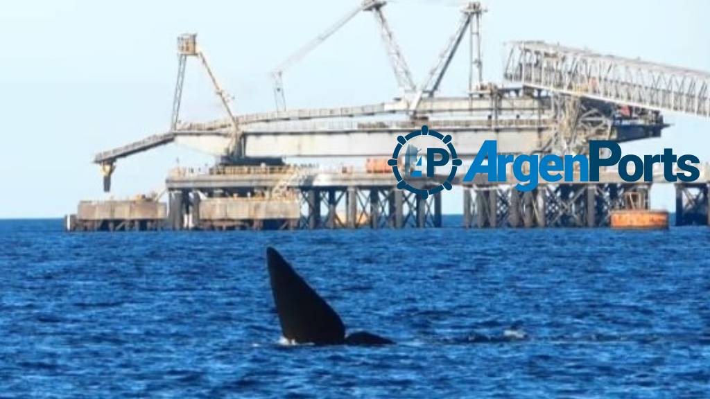 Río Negro: la oposición ambientalista al puerto petrolero de YPF acudirá a la Justicia
