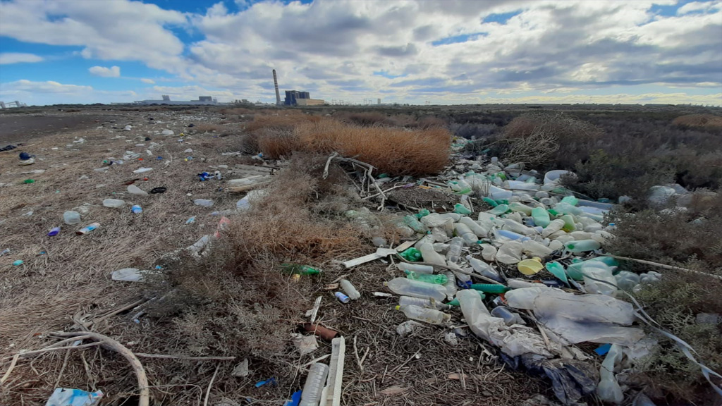 Fuerte acción medioambiental del puerto de Bahía Blanca en un sector costero degradado