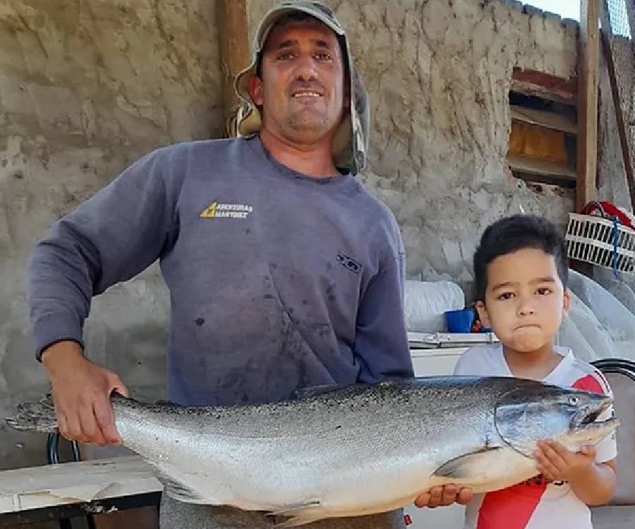 La aparición de dos salmones en el río Paraná sorprende a pescadores y científicos
