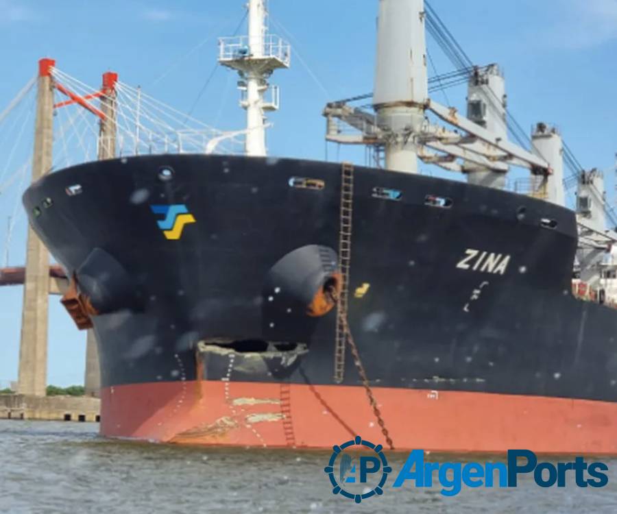 Video: un bulk carrier embistió el puente Zárate Brazo Largo y lo hizo temblar