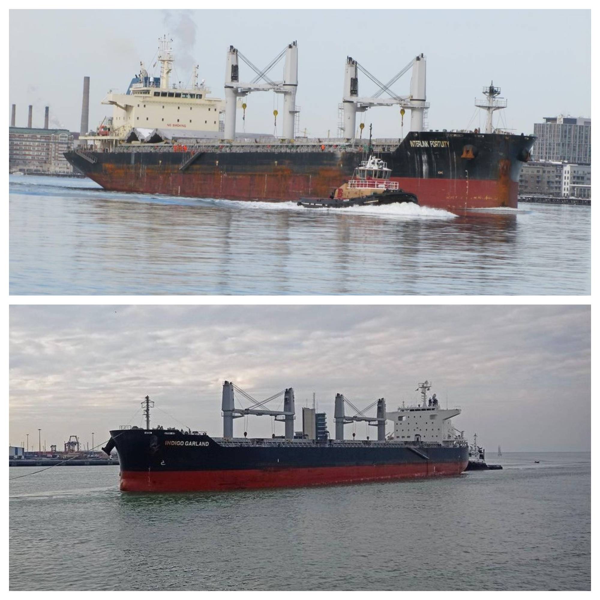 Atípica operación de envío de soja brasileña a puertos argentinos
