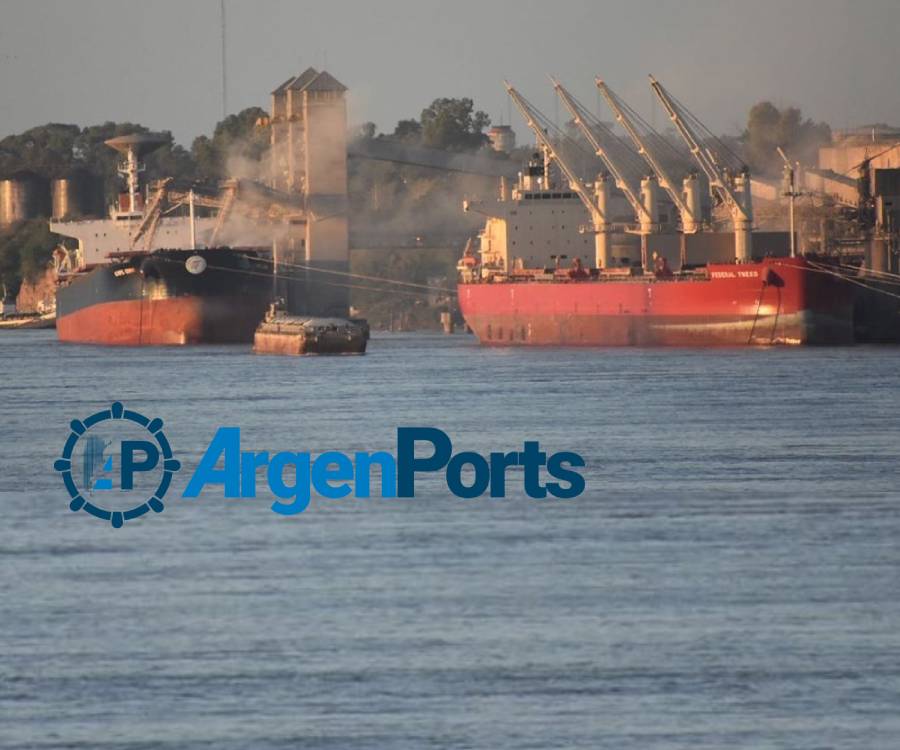 Significativa caída de los embarques de trigo en los puertos del Up River