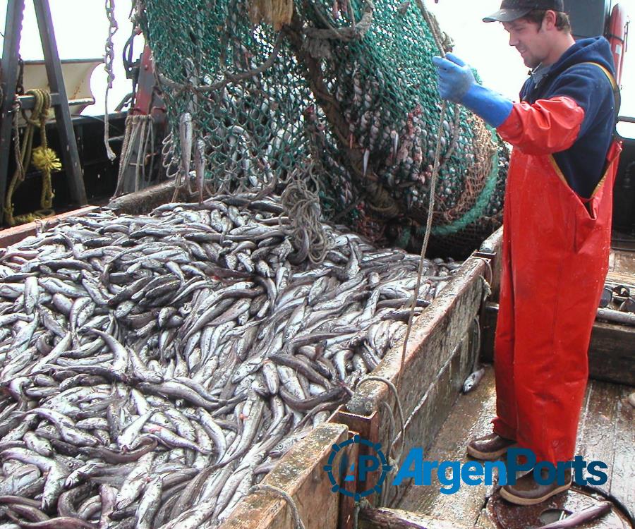 La pesca fue el octavo recurso exportador en 2022