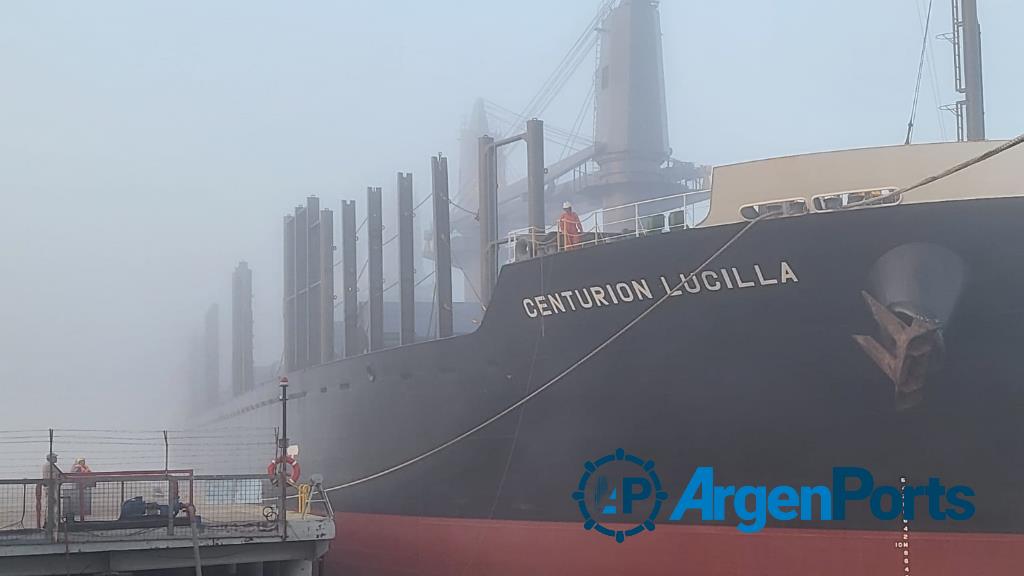 Puerto Ubicuy: el buque Centurión Lucilla amarró para cargar troncos