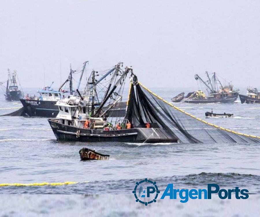 Frente Marítimo: Prohíben pesca de merluza y habilitan la de calamar