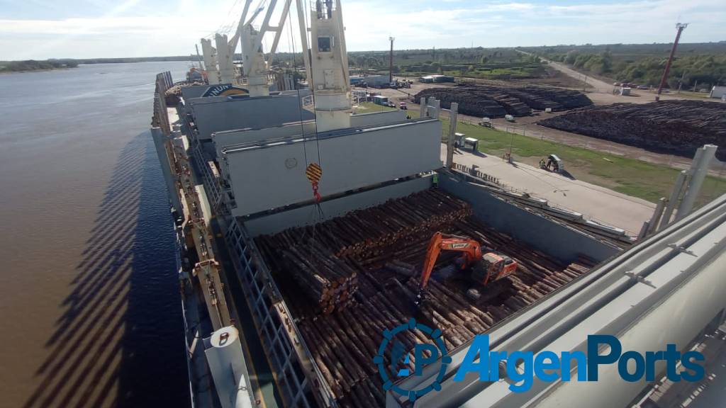 En fotos y video: nueva exportación de madera desde puerto Ibicuy a la India