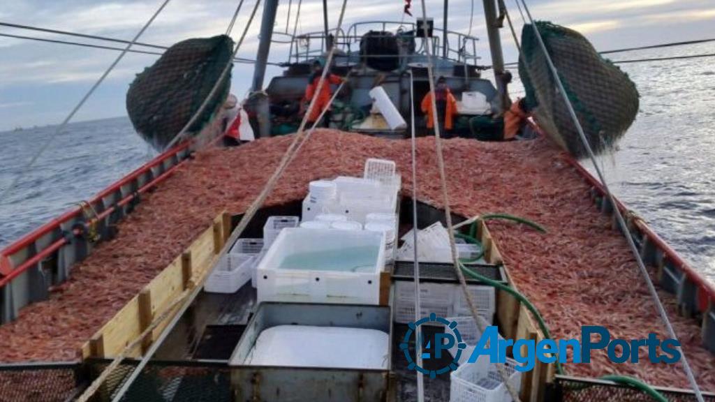 Asignan 3.500 toneladas extra de langostinos a barcos bonaerenses