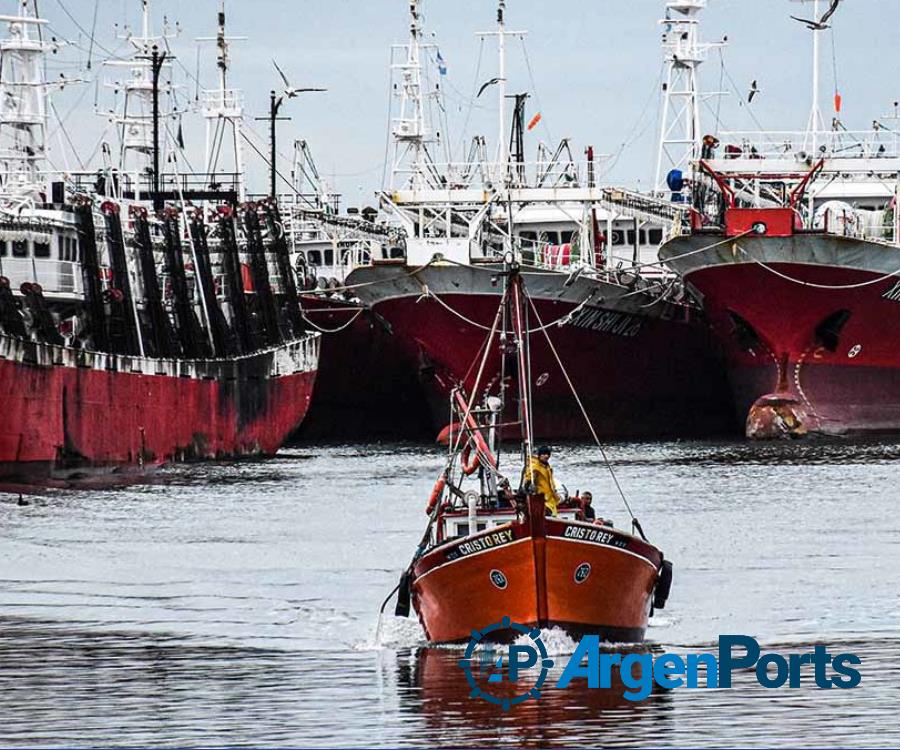 Mar del Plata: culpan a Prefectura por los barcos parados en el puerto