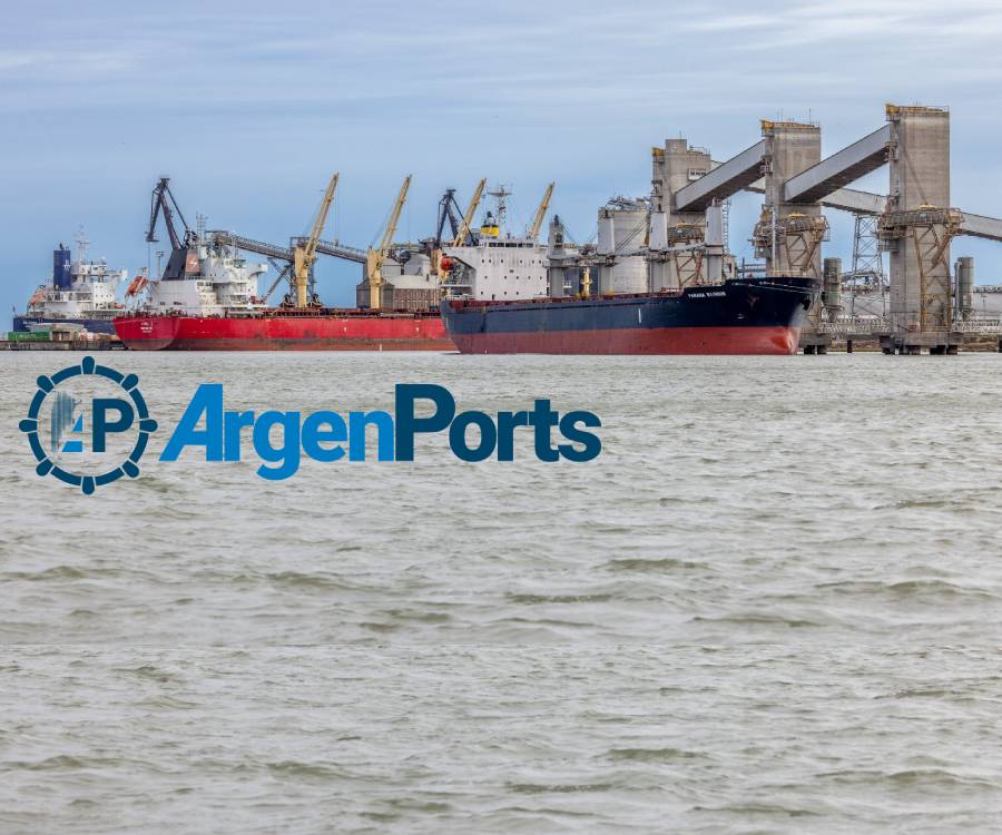 Durante julio se descargaron 834.285 toneladas de granos en el puerto de Bahía Blanca