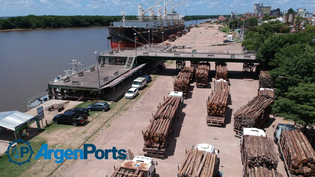 Siguen sin pausa los embarques de madera en Concepción del Uruguay
