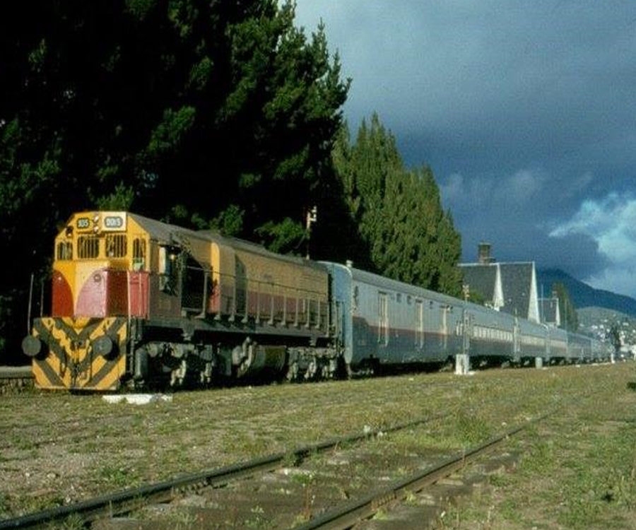 Evalúan el regreso del tren de pasajeros entre Plaza Constitución y Bariloche