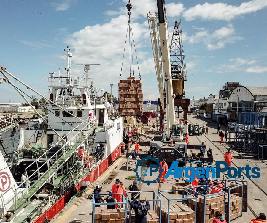 La actividad pesquera no para de crecer en los puertos de Bahía Blanca y Rosales
