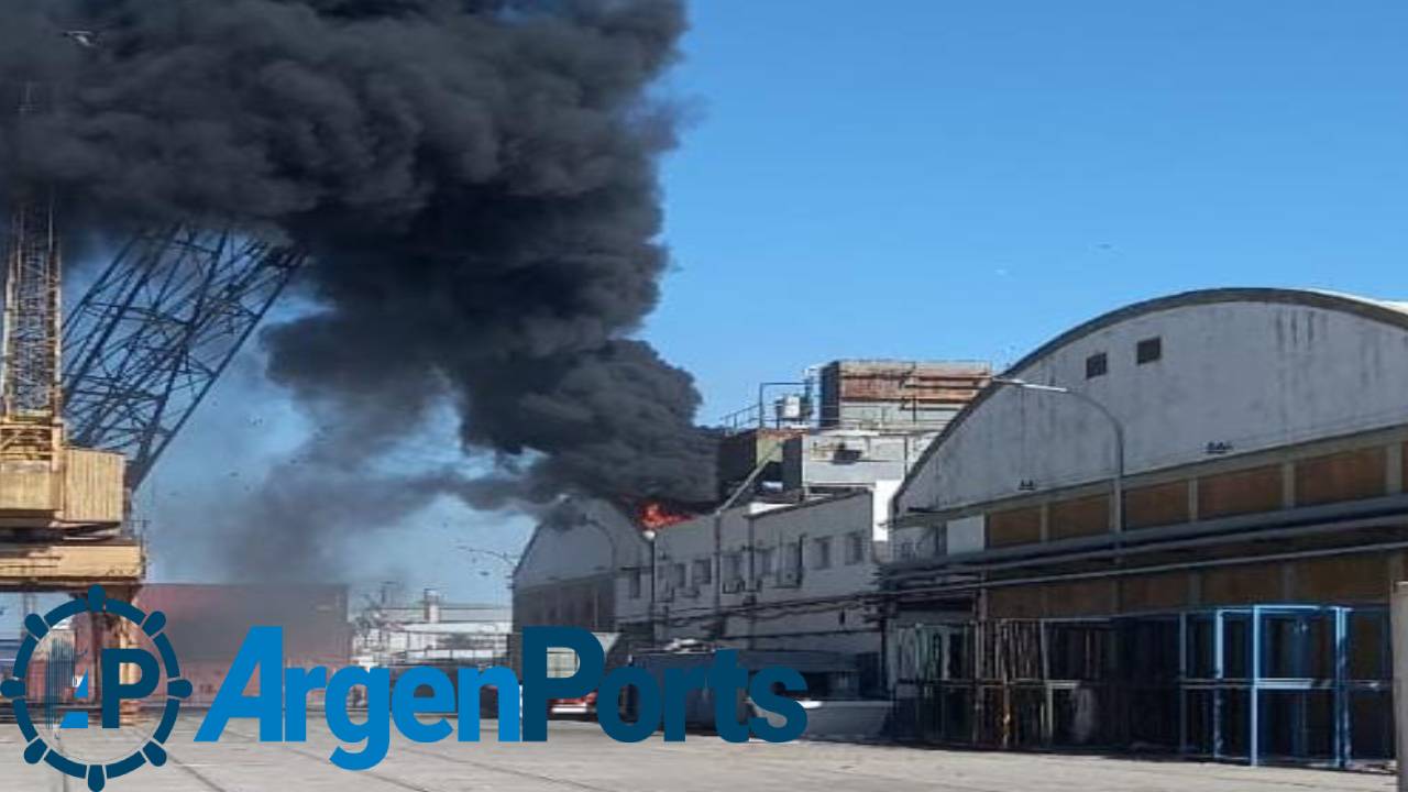 En fotos y video: así fue el incendio que afectó un frigorífico en el puerto de Bahía Blanca