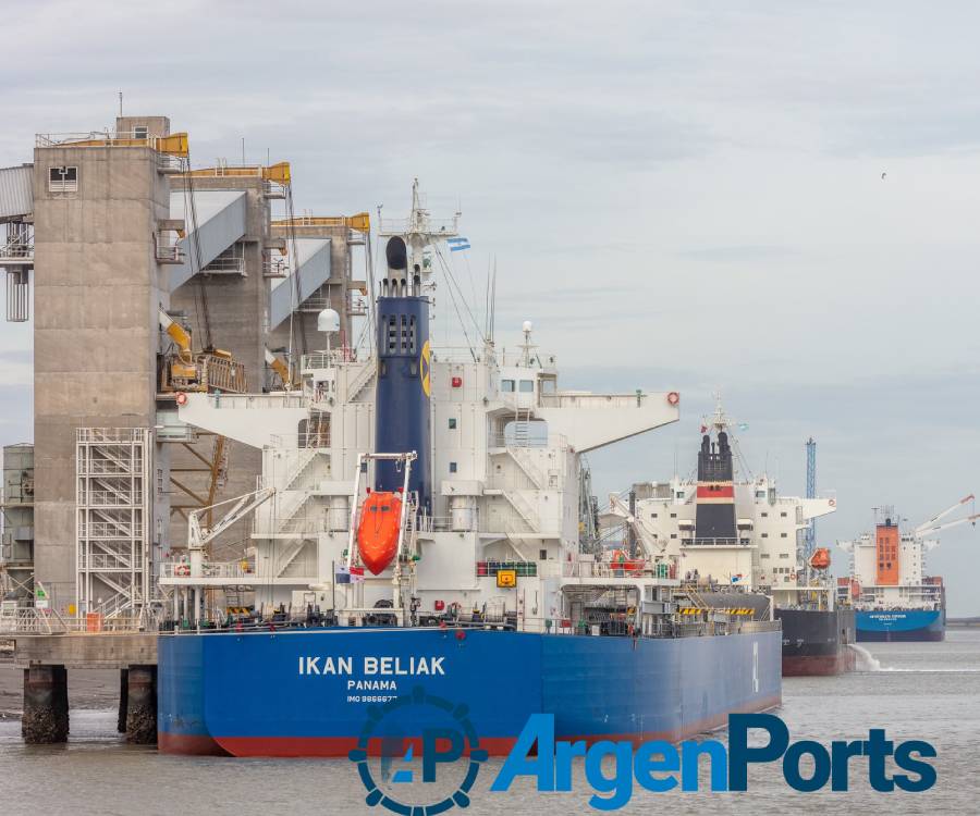 El puerto de Bahía Blanca aún sufre los efectos del violento temporal