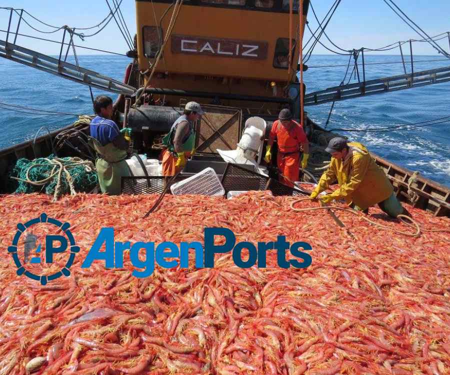Chubut: final para la temporada de langostinos en aguas provinciales
