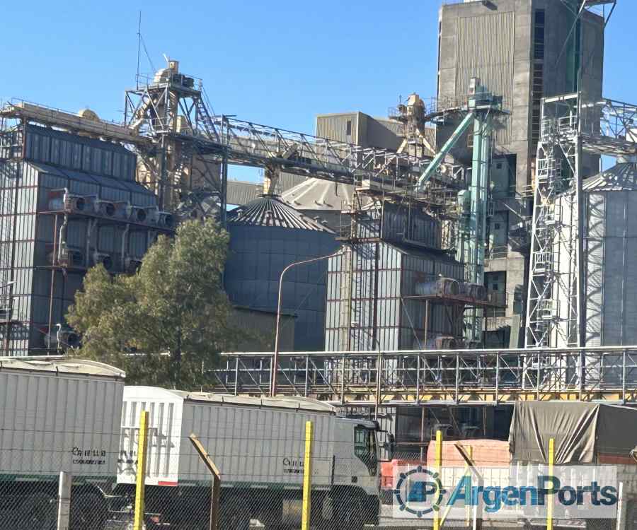 Radiografía de la descarga de camiones con granos en puertos argentinos durante mayo