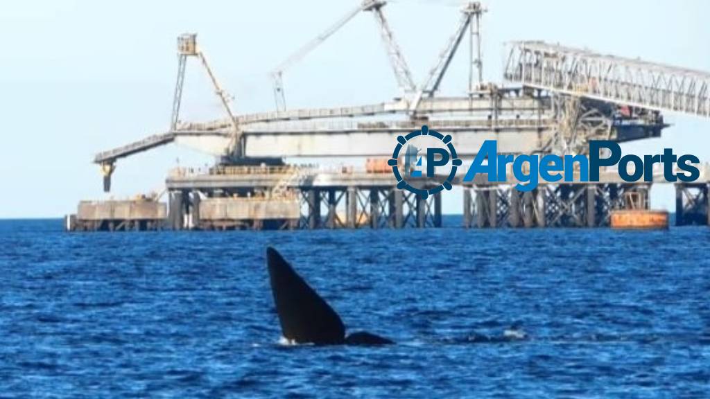 Dura postura ambiental de obispos patagónicos contra el oleoducto Vaca Muerta Sur