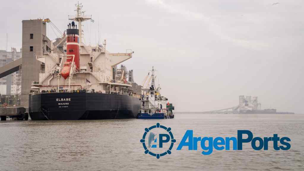 Los primeros siete meses de 2024 fueron muy positivos para el puerto de Bahía Blanca