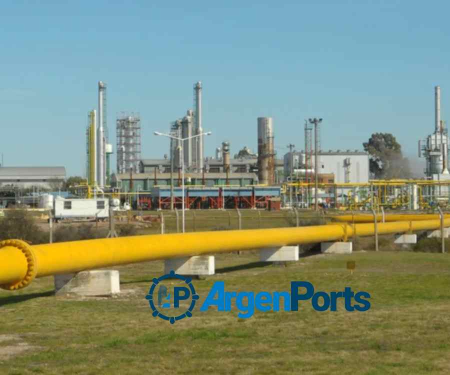 Bahía Blanca: trabajos de mantenimiento de TGS en el gasoducto San Martín