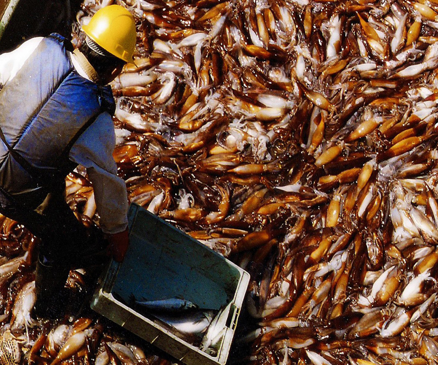 Agricultura promueve una mayor presencia de buques pesqueros nacionales en la milla 201