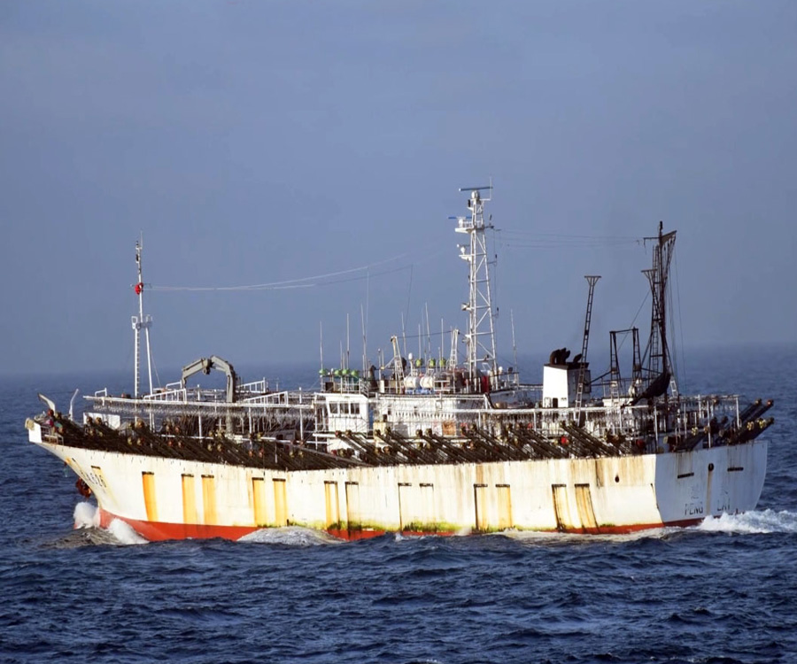 Preocupante informe de Oceana sobre la labor de los pesqueros chinos en Argentina