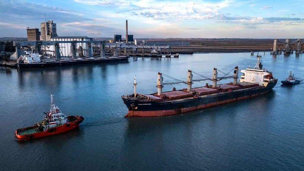 Se descargaron 288.645 toneladas de granos en las terminales portuarias bahienses