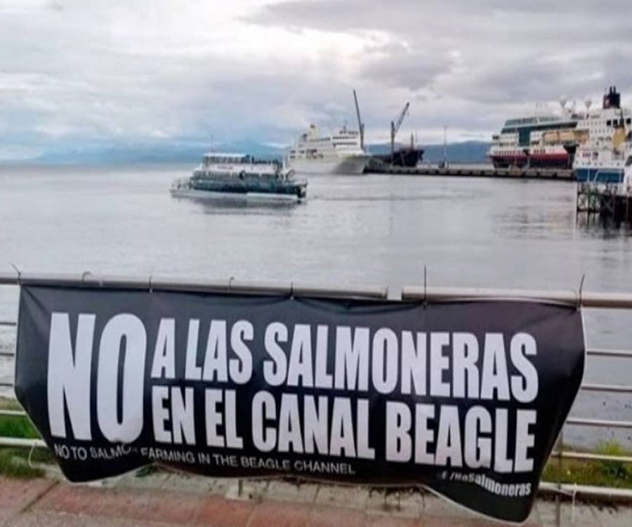 Tierra del Fuego prohibirá por ley la cría de salmones en una medida “inédita en el mundo”