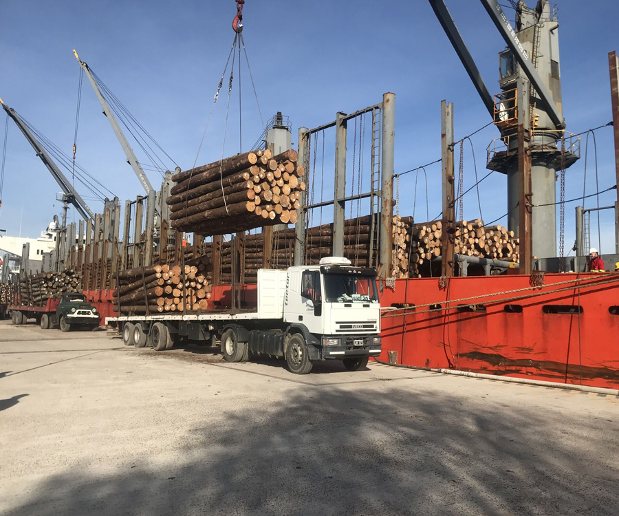 Ibicuy complementa a Concepción del Uruguay en una exportación de rollizos de pino