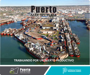 “el Puerto De Buenos Aires Es Hipercompetitivo” Argenports